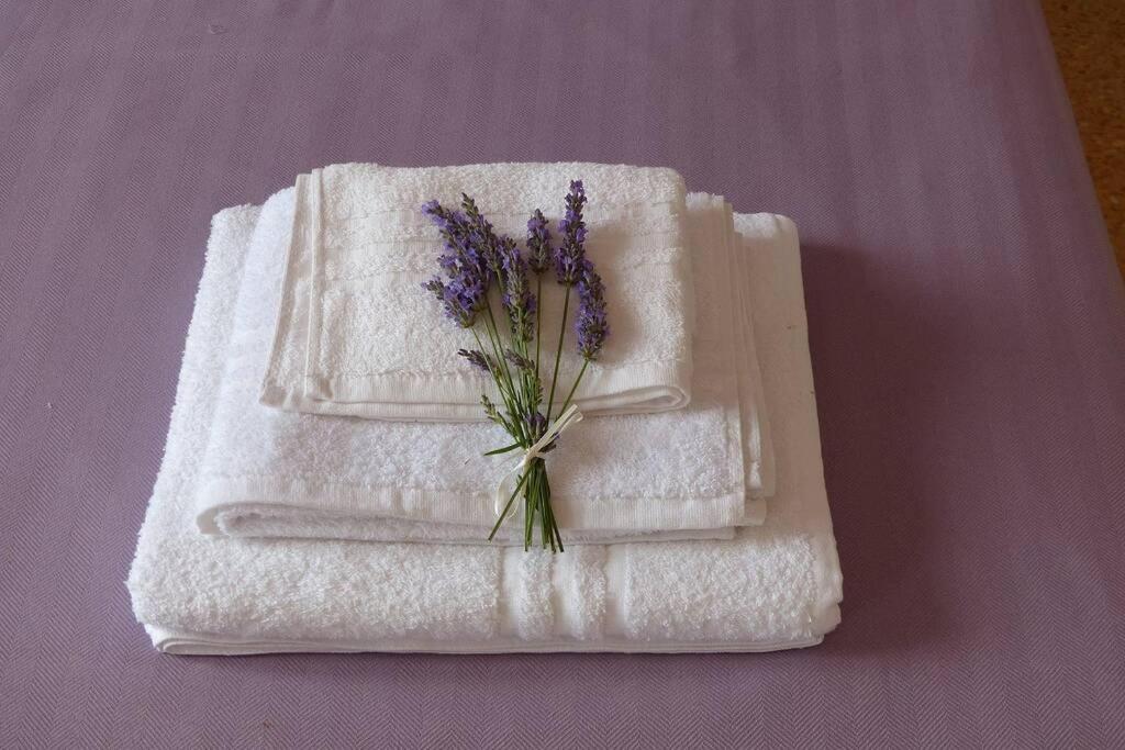 Casagiorgio A Due Passi Dal Centro Storico Daire Floransa Dış mekan fotoğraf